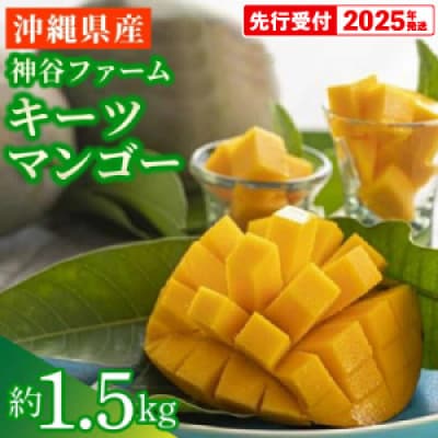 【マンゴー農園直送!】2025年夏!神谷ファームのキーツマンゴー 約1.5kg
