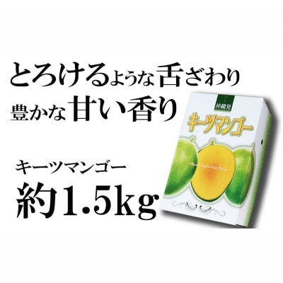 【マンゴー農園直送!】2025年夏!神谷ファームのキーツマンゴー 約1.5kg