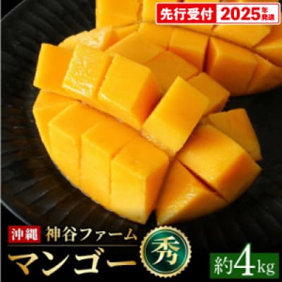 【マンゴー農園直送!】2025年夏!マンゴー秀品 約4kg(7～10玉)
