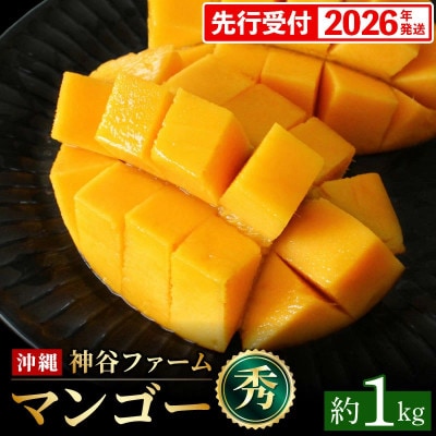 【2026年発送】神谷ファームのマンゴー(秀)約1Kg