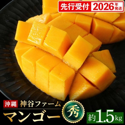 【化粧箱入】【先行受付・2026年発送】神谷ファームのマンゴー(秀)約1.5Kg