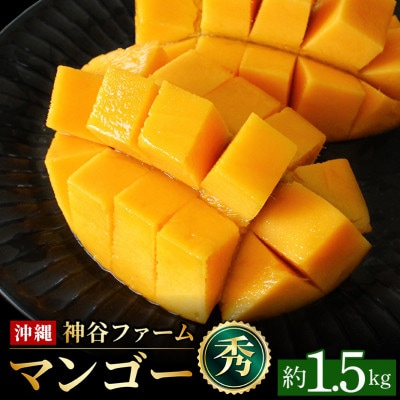【化粧箱入】【先行受付・2027年発送】神谷ファームのマンゴー(秀)約1.5Kg