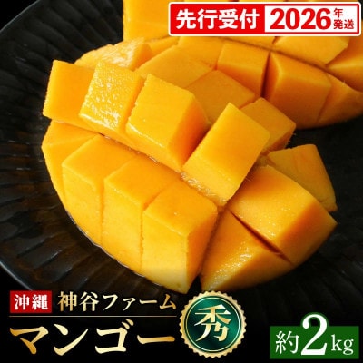 【化粧箱入】【先行受付・2026年発送】神谷ファームのマンゴー(秀)約2kg