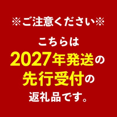 【化粧箱入】【先行受付・2027年発送】神谷ファームのマンゴー(秀)約2kg