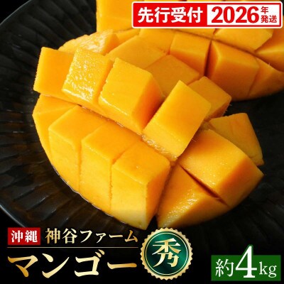 【2026年発送】神谷ファームのマンゴー(秀)約4kg