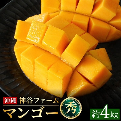 【2027年発送】神谷ファームのマンゴー(秀)約4kg