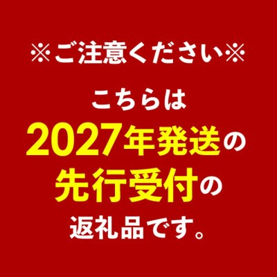 【2027年発送】神谷ファームのマンゴー(秀)約4kg