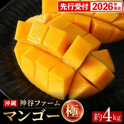 【化粧箱入】【先行受付・2026年発送】神谷ファームのマンゴー(極)約4Kg