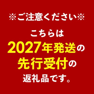 【化粧箱入】【先行受付・2027年発送】神谷ファームのマンゴー(極)約4Kg
