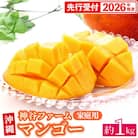 【先行受付】【2026年発送】神谷ファームのマンゴー(家庭用)約1Kg