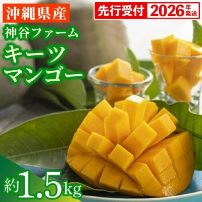 【先行受付】【2026年発送】神谷ファームのキーツマンゴー 約1.5kg