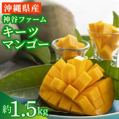 【先行受付】【2027年発送】神谷ファームのキーツマンゴー 約1.5kg