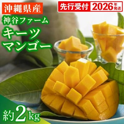 【先行受付】【2026年発送】神谷ファームのキーツマンゴー 約2kg