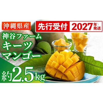 【2027年発送】神谷ファームのキーツマンゴー 約2.5kg