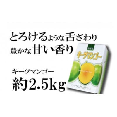 【2027年発送】神谷ファームのキーツマンゴー 約2.5kg