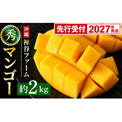 【化粧箱入】【先行受付・2027年発送】神谷ファームのマンゴー(秀)約2kg