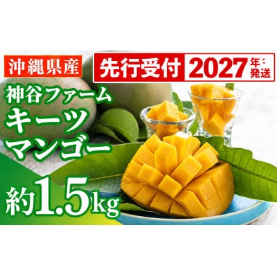 【先行受付】【2027年発送】神谷ファームのキーツマンゴー 約1.5kg