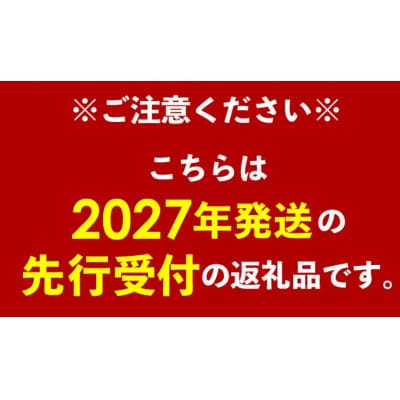 【先行受付】【2027年発送】神谷ファームのキーツマンゴー 約1.5kg