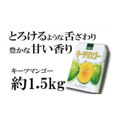【先行受付】【2027年発送】神谷ファームのキーツマンゴー 約1.5kg