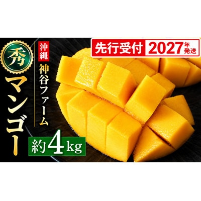 【化粧箱入】【先行受付・2027年発送】神谷ファームのマンゴー(秀)約4kg