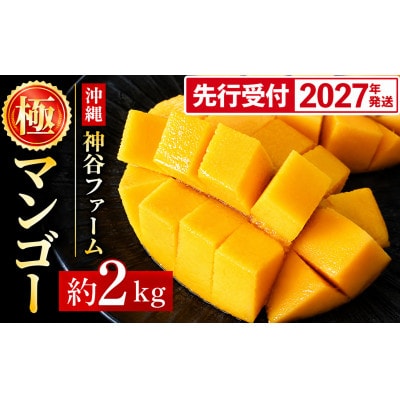 【化粧箱入】【先行受付・2027年発送】神谷ファームのマンゴー(極)約2kg