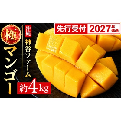 【化粧箱入】【先行受付・2027年発送】神谷ファームのマンゴー(極)約4Kg