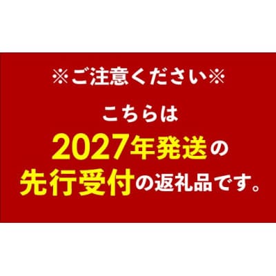 【化粧箱入】【先行受付・2027年発送】神谷ファームのマンゴー(極)約4Kg