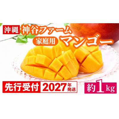 【先行受付】【2027年発送】神谷ファームのマンゴー(家庭用)約1kg