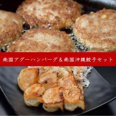南国アグーハンバーグ&南国沖縄餃子セット | ふるさと納税のお礼品