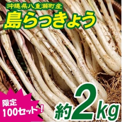 【限定100セット】沖縄県八重瀬町産　島らっきょう約2kg