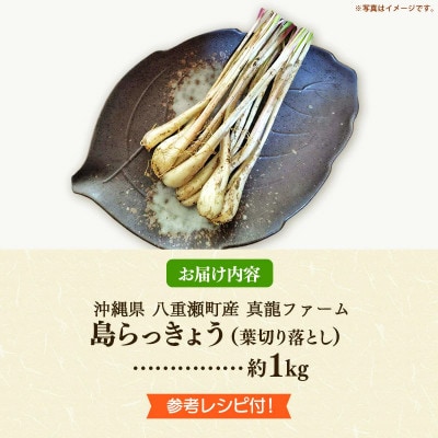 【2026年発送】沖縄県八重瀬町産 葉切り落とし 島らっきょう約1kg