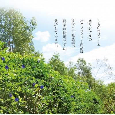 沖縄産バタフライピーティーセット　3種類