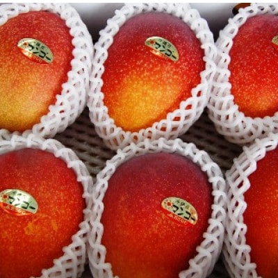 アップルマンゴー家庭用 1kg