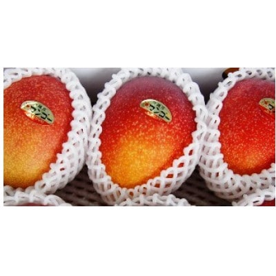 アップルマンゴー優品1kg