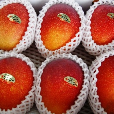アップルマンゴー家庭用 2kg
