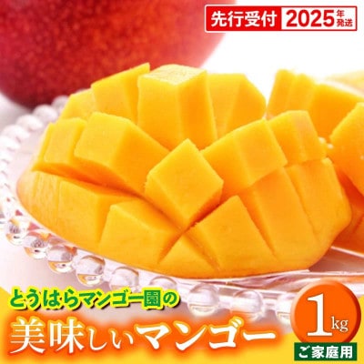 【家庭用】アップルマンゴー約1kg(2～3玉)　とうはらマンゴー園【2025年発送】