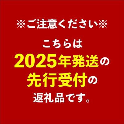 【家庭用】アップルマンゴー約1kg(2～3玉)　とうはらマンゴー園【2025年発送】