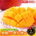 【秀品特上】アップルマンゴー約2kg(4～5玉)　とうはらマンゴー園【2025年発送】