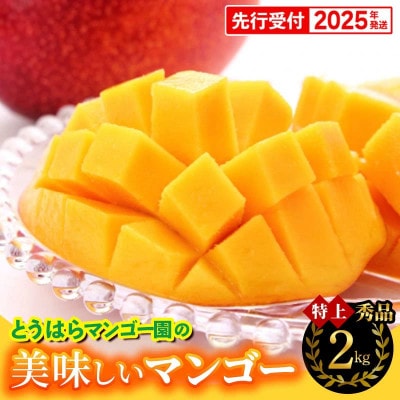 【秀品特上】アップルマンゴー約2kg(4～5玉)　とうはらマンゴー園【2025年発送】
