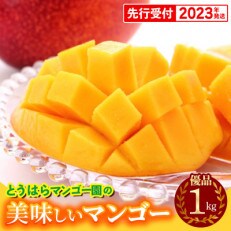 【2023年発送】とうはらマンゴー園のアップルマンゴー優品　約1kg(2玉～3玉)