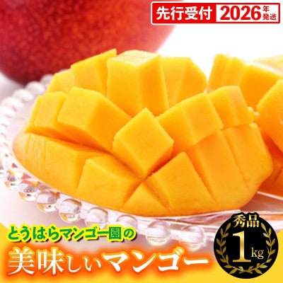 【化粧箱入】【先行受付・2026年発送】とうはらマンゴー園の美味しいマンゴー秀品 約1kg