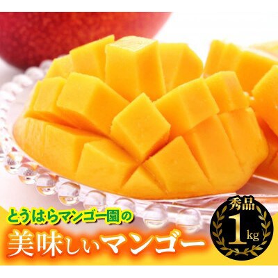 【化粧箱入】【先行受付・2026年発送】とうはらマンゴー園の美味しいマンゴー秀品 約1kg