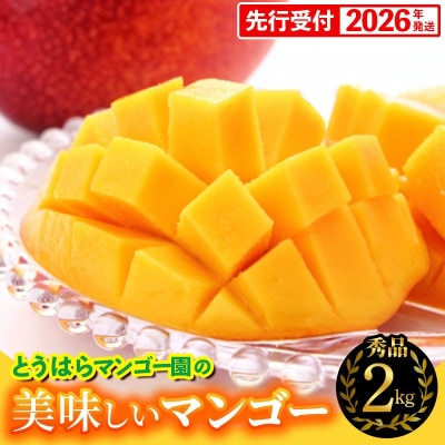 【化粧箱入】【先行受付・2026年発送】とうはらマンゴー園の美味しいマンゴー秀品 約2kg
