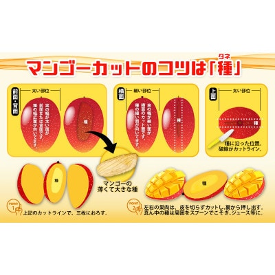 【化粧箱入】【先行受付・2026年発送】とうはらマンゴー園の美味しいマンゴー秀品 約2kg