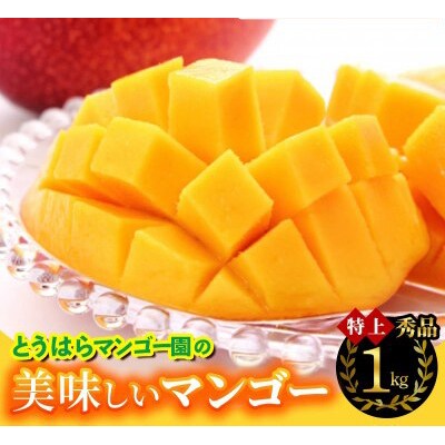 【化粧箱入】【先行受付・2026年発送】とうはらマンゴー園の美味しいマンゴー秀品(特上)約1kg