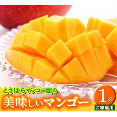 【先行受付】【2026年発送】とうはらマンゴー園の美味しいマンゴー家庭用 約1kg