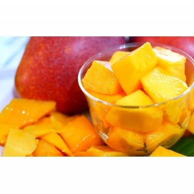 【先行受付】【2026年発送】とうはらマンゴー園の美味しいマンゴー家庭用 約1kg