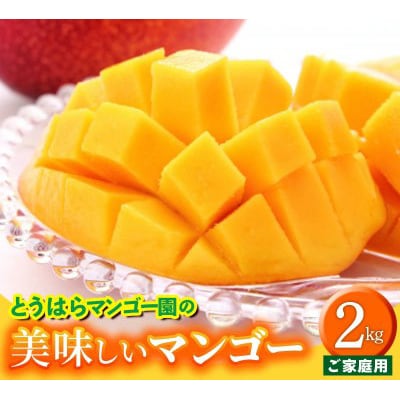 【先行受付】【2026年発送】とうはらマンゴー園の美味しいマンゴー家庭用 約2kg