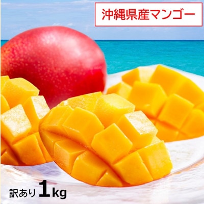 【2026年発送】訳あり・沖縄県産マンゴー1kg(2～3玉)