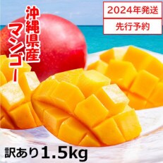 【2024年発送】&lt;訳あり&gt;沖縄県産マンゴー1.5kg(3～6玉)